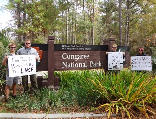 LWCF – Episode 61 in Congaree National Park