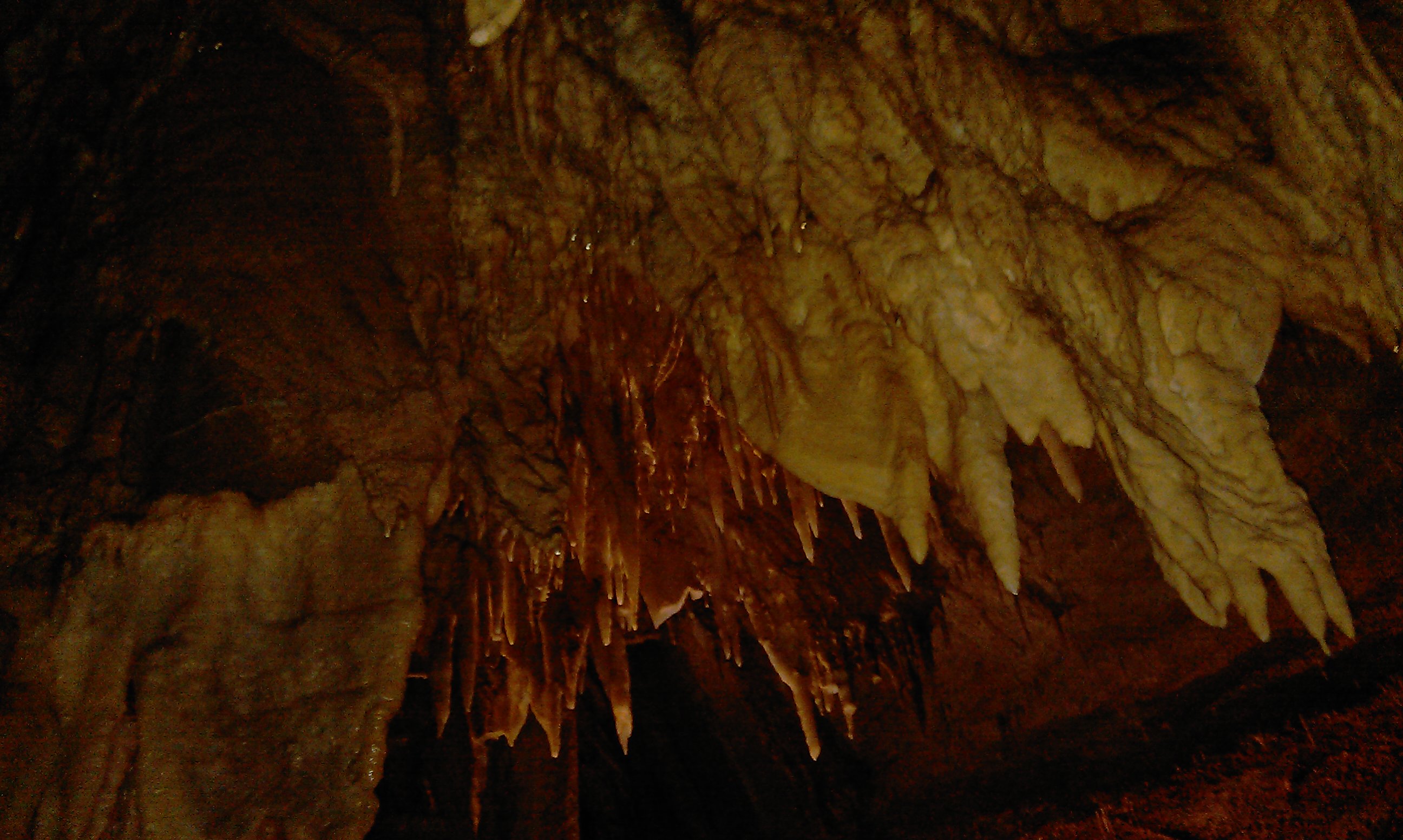 Mammoth Cave picture 3