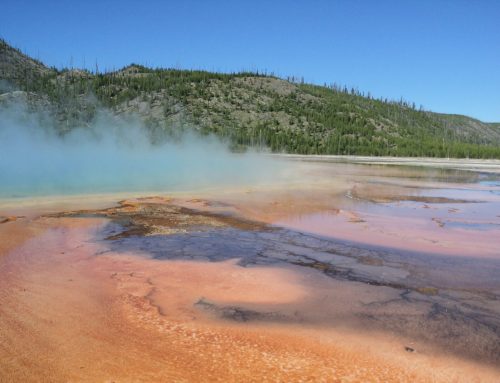 Yellowstone National Park – Grand Prismatic Spring